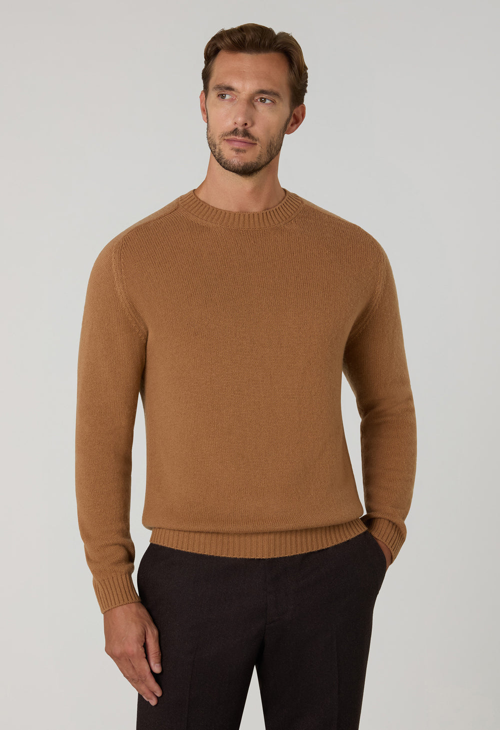 Camel Wool Cashmere Crewneck